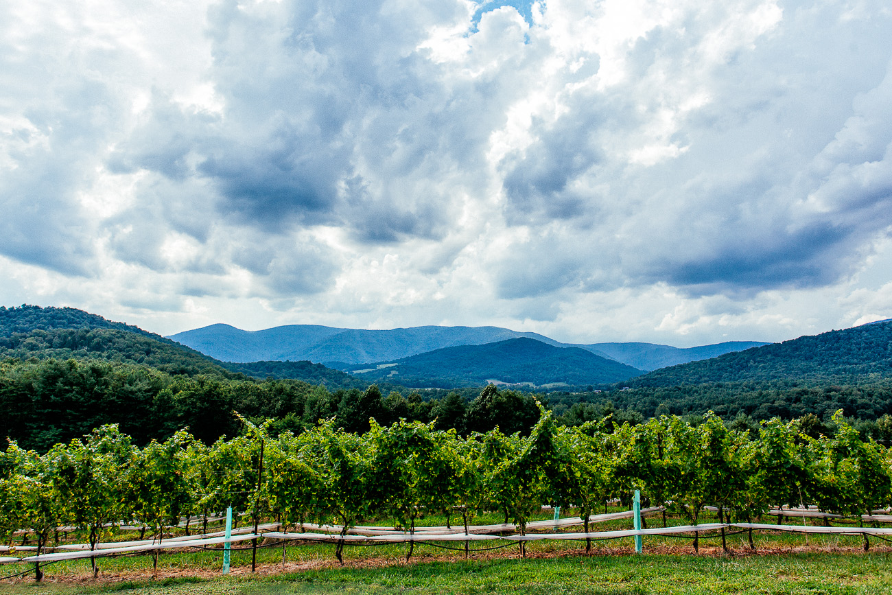 Our Anniversary Celebration-Visiting the wineries of the Monticello Wine Trail