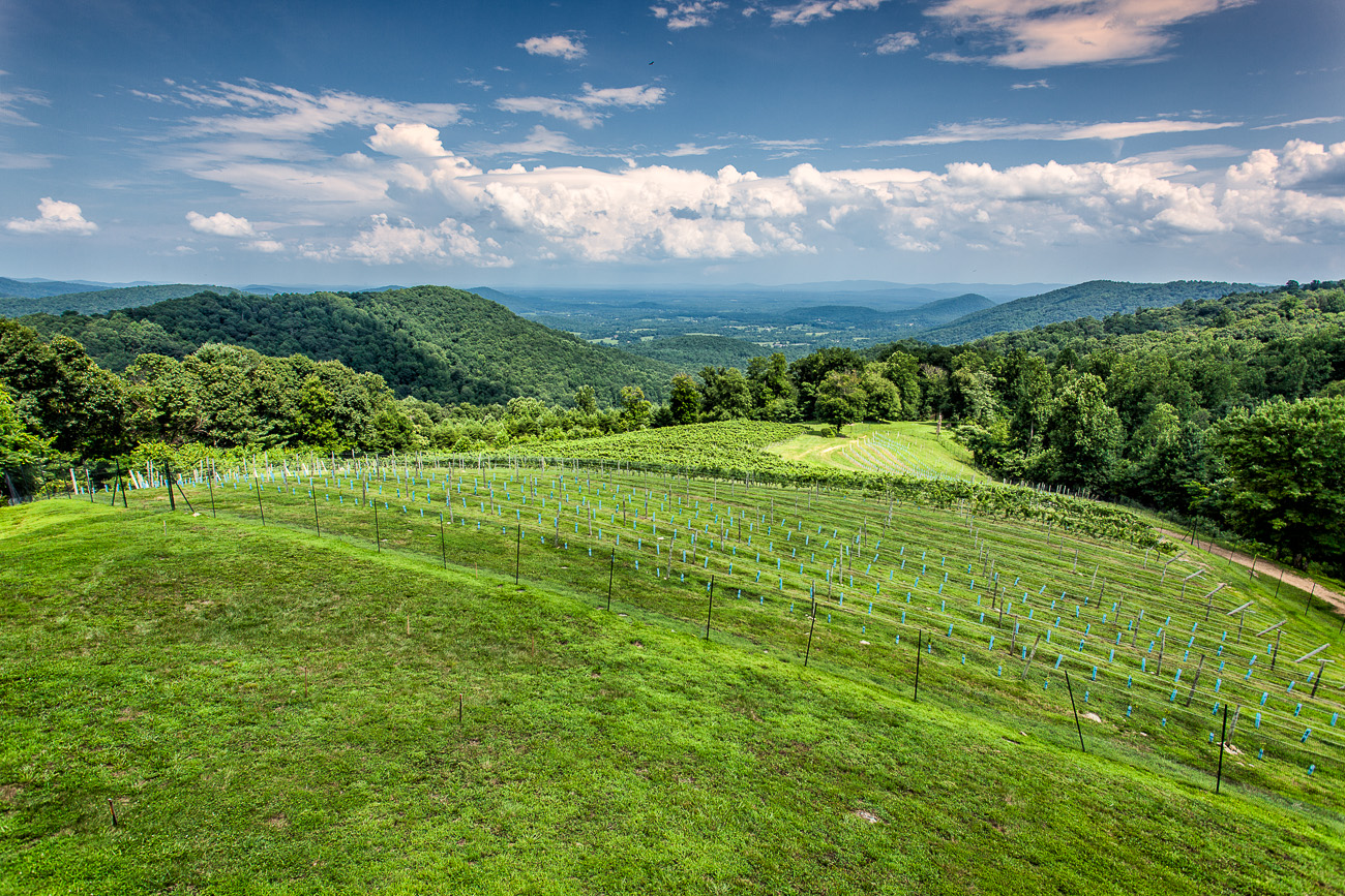 Anniversary Celebration-Visiting the wineries of the Monticello Wine Trail @gossamerydreams.com